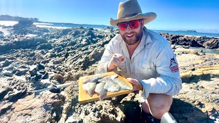 Catch and Cook on the rocks  Batemans bay rock fishing in heavy swell with ultralight gear [upl. by Addam111]