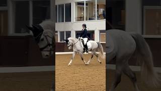 🥈Our first Novice Dressage test [upl. by Malik]