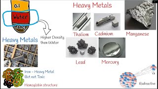 Heavy Metal Poisoning Toxicity Causes Symptoms and treatment Lead poisoning cadmium poisoning [upl. by Segal]