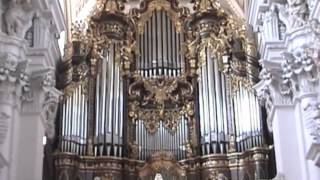 The Largest Cathedral Organ [upl. by Seigler]