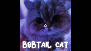 Bobtail💜👾🍇🧞 [upl. by Hardunn]