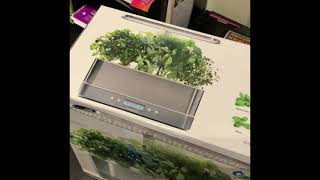 My new Aerogarden  Harvest elite slim unboxing [upl. by Ellenij410]