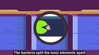 BacTech Bioleaching Process Subtitled [upl. by Cornelia727]