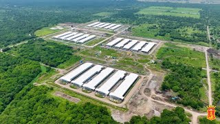 Inside SMCs mega poultry farm in Hagonoy Davao del Sur [upl. by Ailisab]