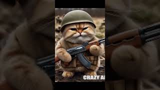 Captain Claws The Angry Cat Army Leader  shorts funny viralvideo cat crazyai [upl. by Lidah]