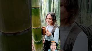 Cangkir bambu nature bamboo satisfying [upl. by Chiarra]