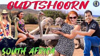 South Africa Oudtshoorn part 4 Ostrich Capital of the World Scenic Drive CapeTown to Oudtshoorn [upl. by Desireah]