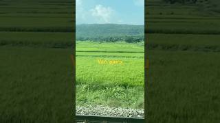 telugu jeevithasatyaluforsuccessinlife nature Motivational words Short viral ￼￼ [upl. by Notrem167]