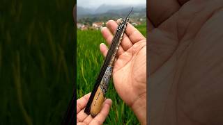 Handmade  Tanago Rod  Micro Fishing [upl. by Eleanore]