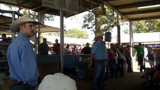 2011 Livestock Sale [upl. by Engud]