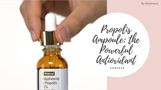 Propolis Ampoule the Powerful Antioxidant  By Wishtrend  YesStyle Korean Beauty [upl. by Anabahs]