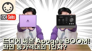 아포지 붐 이름처럼 폭발적인 사운드 오디언트 iD14 mk2와 비교청음 Apogee BOOM review amp shootout w Audient iD14 mk2 eng sub [upl. by Farnsworth796]