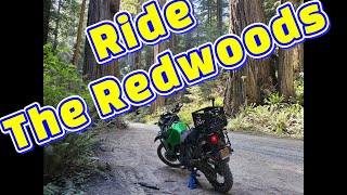 KLR 650 Ride the Redwoods Howland Hill Rd at Jebediah Smith State Park [upl. by Eladnyl212]