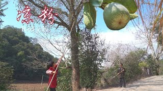 用野果制作的凉粉如红宝石一般，酸酸甜甜好滋味Making red jelly with wild fruits【乡野莲姐】4K [upl. by Mariana667]