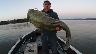 7 Keys To Catch A MONSTER CATFISH Huge Flathead [upl. by Allenrac]