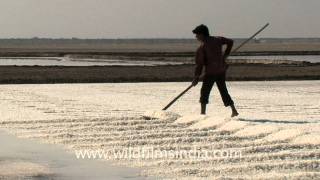 The land made of salt  Kutch in Gujarat [upl. by Johannah]