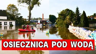 Kolejna miejscowość pod wodą W Osiecznicy zalane są niemal wszystkie budynki [upl. by Prent300]