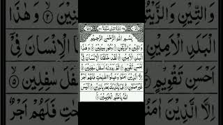 Surah watini beautiful vioce subscribe [upl. by Ahtelahs]