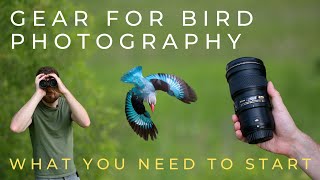 Buy This Gear to Start Bird Photography on Any Budget [upl. by Eittel]