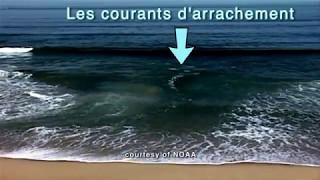 les courants darrachement [upl. by Edithe694]