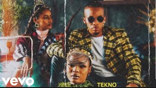 Tekno  Pay Official Video Edit [upl. by Ramyaj]