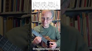 Auld Lang Syne Ukulele fingerstyle tutorial [upl. by Alexio]