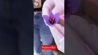 Saffron ki kheti saffron india indian indianfood [upl. by Petty]