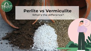 Perlite vs Vermiculite Why and When to use [upl. by Laurella534]