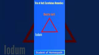 Trio of Anti Scrofulous RemedyAnti Scrofulous Remedy In HomeopathyBaryta CarbBromiumShorts [upl. by Aleiram]