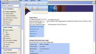 Windows Installer Custom Actions with Wise Package Studio [upl. by Silrak]