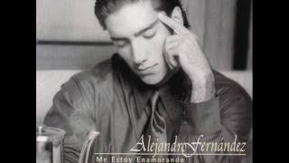 Alejandro Fernandez  Yo nací para amarte [upl. by Haimaj]