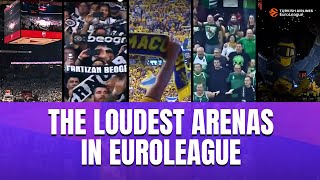 The BEST pregame ATMOSPHERES in EuroLeague  Think Your Teams Fans Are Loud [upl. by Airbmat]