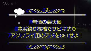 アジフライが食べたいもうあそこしかない！豊浜釣り桟橋！見事ミッションコンプリート出来るか？ [upl. by Nagah]