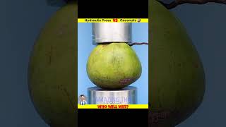 Coconuts vs Hydraulic Press Machine⁉️💥  Which Coconut Is Strong🤯😱  shortsfeed trending [upl. by Dauf]