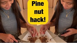 Best way to shell Pine Nuts  how to crack Pine Nuts [upl. by Waldner]