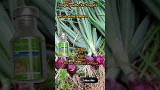 galigan herbicide shorts shrtsfeed shortsvideo shortsfeed [upl. by Kaitlyn]