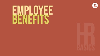 HR Basics Employee Benefits [upl. by Trillby]