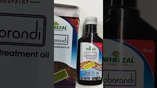 Jaborandi Tel ll Jaborandi Hair Treatment ll Jaborandi Hair Oil SBL ll Hair Treatment For Hair Loss [upl. by Daveda]