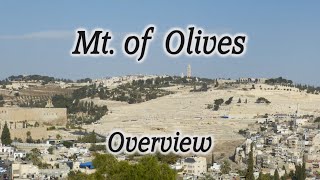 Mt of Olives Overview Tour Chapel of Ascension Pater Noster Church Dominus Flevit Gethsemane [upl. by Capello]