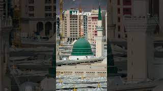 mawlaya by Maher Zain viral islamic youtubeshort mustafa rahnummahfamily [upl. by Anilat]