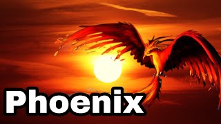 Phoenix loiseau Immortel Mythologie Grecque [upl. by Nyleimaj46]