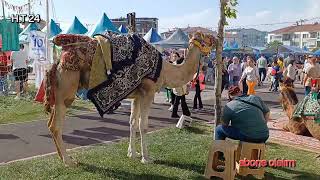 19 Mayıs Gençlik Festivali Uşak [upl. by Heman]