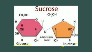 Oligosaccharides  Carbohydrates  Biochemistry [upl. by Orren]