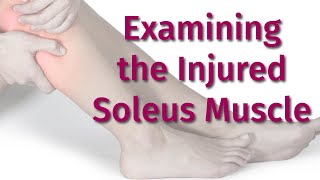 How to Examine for the Injured Soleus Muscle [upl. by Aihseit]