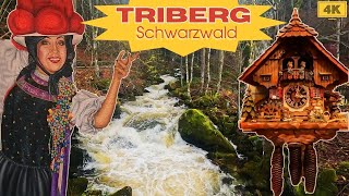 Triberg in the Black Forest  4K Walking Tour of Triberg  Triberg Black Forest GermanyNature [upl. by Okiron]