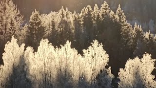 Julefred Merry Christmas Wolf Hill Øvre Eiker Norway December 2023 [upl. by Hynda]