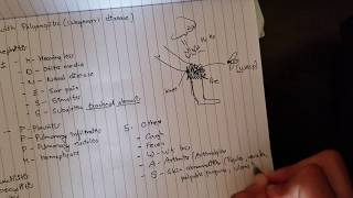 Granulomatosis with Polyangiitis Mnemonic [upl. by Hoagland]