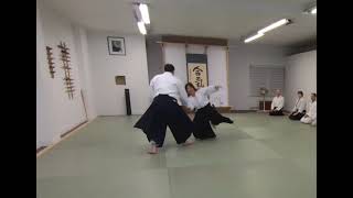 Aikido Yokomenuchi Ikkyo with Greg Angus Sensei [upl. by Latsyrc]