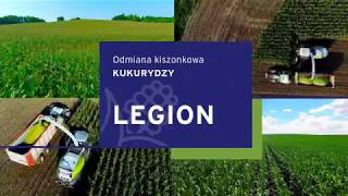 LEGION  odmiana kiszonkowa kukurydzy [upl. by Agn645]