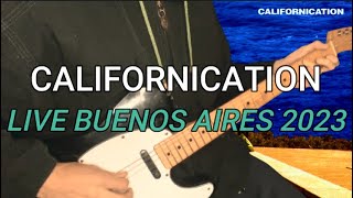 Californication solo live in Buenos Aires 2023 Guitar lesson with TAB [upl. by Joycelin781]